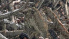 Elevan a 1,067 los muertos por el tifón "Bopha" en Filipinas. Aún no se identifica a todas las víctimas.