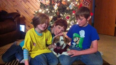 Los hijos de la familia Grapengeter con Abby.