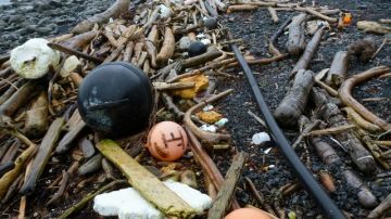 Boyas y otros restos del tsunami en Japón llegaron a una playa en Kayak Island, Alaska. Los científicos esperan que la mayor parte de los escombros del tsunami arribarán a la costa oeste del Pacífico este invierno.