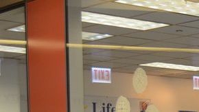 La oficina de la Secretaría de Estado de Illinois sería la encargada de emitir las licencias.