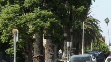 Menos crímenes violentos se registran en Los Ángeles.
