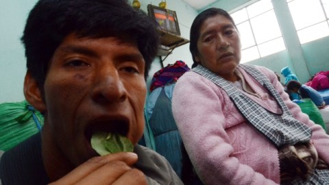 Un campesino boliviano mastica una hoja de coca en un mercado popular de La Paz, Bolivia.