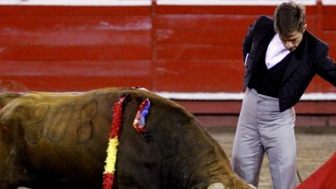 El diestro español Julián López "El Juli" recibió el alta médida, tras sufrir un accidente vial