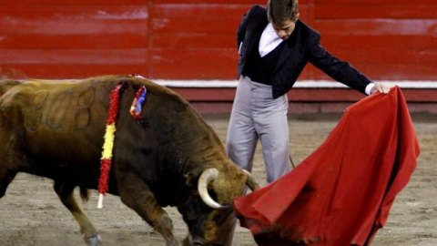 El diestro español Julián López "El Juli" recibió el alta médida, tras sufrir un accidente vial