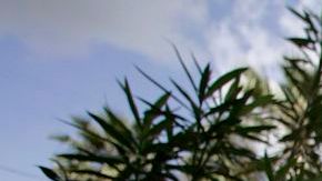 Una casa en San Gabriel, California que fue desmantelada porque operaba como clínica ilegal de maternidad para turistas.