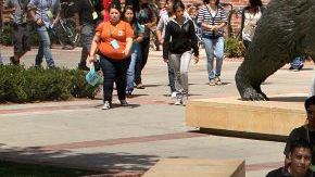 El promedio de edad de la mayoría de la población aumentará de 35 a 42 años.