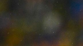 Arian Foster, corredor de los Houston Texans de la NFL.