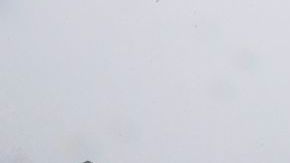 La nieve se hizo presente en el caso del ex policía que es buscado por un doble homicidio en California.