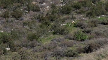 Ocho personas murieron a   consecuencia del accidente en Yucaipa el pasado domingo, por falla en los frenos.