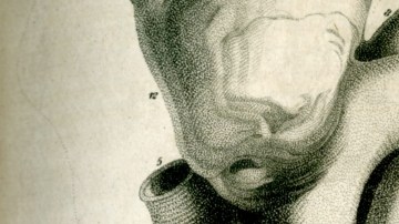 IM_20130211_IMPORT01_302119974