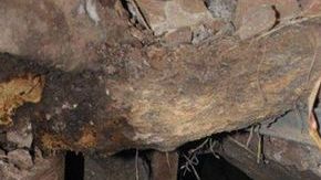 Fue hallado el túnel número 26 en tres años entre las ciudades homónimas de Nogales (Sonora y Arizona). Era usado para cruzar droga a EE.UU.