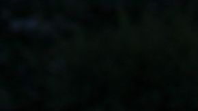 El Senado de Illinois aprobó hoy un proyecto de ley que garantiza el derecho de las personas del mismo sexo a contraer matrimonio.