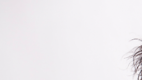 'La Chupitos' hará reír al público de Chicago.