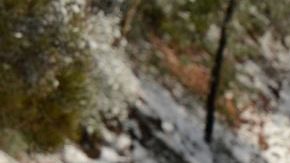 La lluvia y vientos iniciaron la víspera, mientras las autoridades advirtieron sobre condiciones de helada en las zonas elevadas.