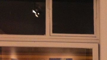 Adriana Almazán Lahl lanzó su negocio Sal de Vida Gourmet, gracias a la ayuda que recibió en ALAS y La Cocina.