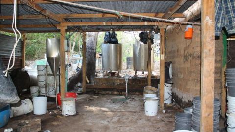 Las autoridades acudieron inmediatamente y los policías que hacían la revisión en uno de los terrenos detectó un fuerte olor a químicos, por lo que revisaron una bodega y encontraron a los animales.