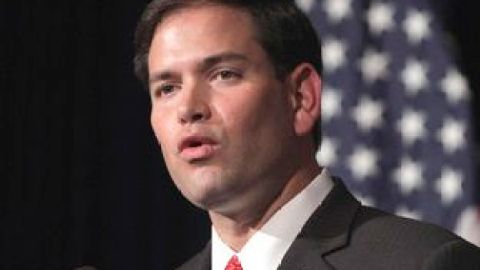 Marco Rubio tiene una presencia agradable, es inteligente y es hijo de inmigrantes cubanos, por ello es latino.