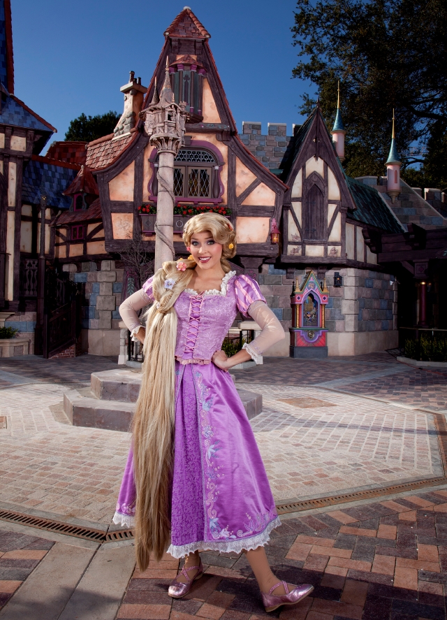casita princesas disney