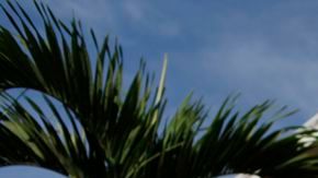 Venezolanos llamados "chavistas" mantienen el ánimo mientras este viernes esperan en fila para poder ofrecer sus respetos al cuerpo del presidente Hugó Chávez.