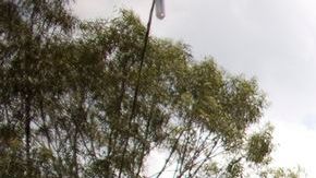 A la entrada de "La Piedrita" se ve este mensaje en defensa de la revolución.