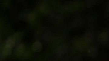 Milly Quezada luce tan espectacular como está su nuevo disco "Aquí estoy yo”.