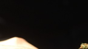 Consumir drogas puede dañar al cerebro.