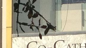 La Cocatedral de Houston recibió a fieles e hizo doblar sus campanas en honor del nuevo papa Francisco I.