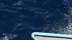 Los guardacostas recibieron el aviso alrededor de las 2 de la madrugada y tres horas después avistaron el bote a unos cinco kilómetros (tres millas) de la costa.