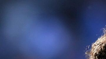 Ni los goles de Nicolás Bertolo han podido sacar a Cruz Azul del bache en el que se encuentra.