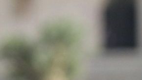 Carlos Salcido afirma que el Tri está "obligado a ganar los dos próximos juegos en el hexagonal".