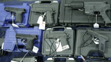 En febrero pasado  el grupo que trabaja para prevenir la violencia con armas presentó 14 proyectos de ley sobre el tema.