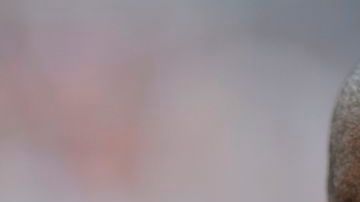 Tras un polémico despido causado por un error administrativo los Broncos ofrecen contrato a Elvis Dumervil.