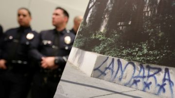 La policía de Los Ángeles anunció  el arresto de  pandilleros de la MS-13  en Los Angeles por extorsionar a loncheros.