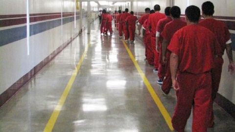 De los 2,228 inmigrantes indocumentados que fueron liberados, 28 fueron recapturados por agentes del ICE.