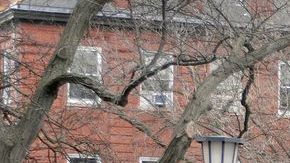 La semana pasada, sindicatos y la Cámara de Comercio entraron en un debate público, respecto a la fórmula con que se determinará el salario mínimo para trabajadores futuros.
.