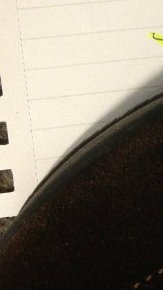 El Gobernador de Florida dijo que "la lección del profesor fue intolerante para el derecho a la libertad religiosa".