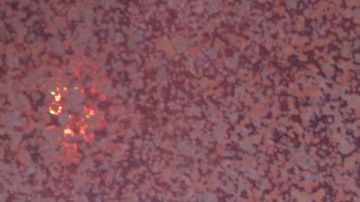 John Cornyn, senador federal republicano por Texas, en un luncheon de la Cámara Hispana de Comercio de Houston.