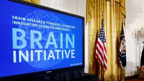 El presidente Obama anunció la iniciativa con la que se pretende lograr un mapa del cerebro humano.