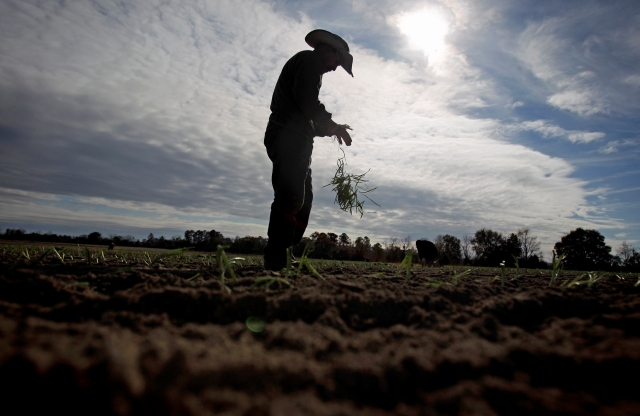 Trabajadores agrícolas  continúan a ser expuestos a enfermedades y peligros de los pesticidas.