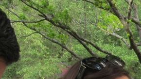 Activistas en Houston critican al senador de Texas Ted Cruz por el rechazo de este a conceder una vía a la ciudadanía para los indocumentados.