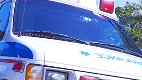 El suceso se produjo el martes pasado, poco después de que el chico regresara del  colegio.