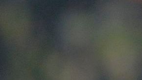 El Málaga podría pagar caras las declaraciones de su propietario. En la foto, Martín DeMichelis lamenta la derrota ante el Borussia.
