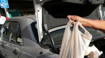 Contaminación por el plástico.