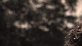 Vives recorrerá Orlando, Miami, Atlanta, Boston, Newark, Fairfax, Houston y Los Ángeles.