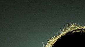 Francia se uniría a Uruguay y Nueva Zelanda como el tercer país en aprobar los matrimonios gay.