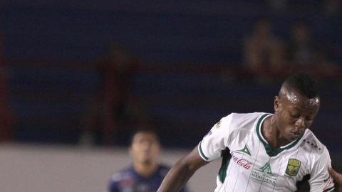 El León de Gustavo Matosas es la gran decepción del Clausura 2013.
