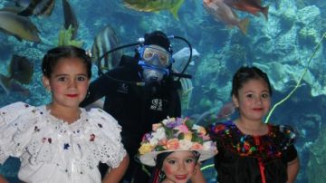La fiesta en el Aquarium of the Pacific incluye danzas folclóricas de  México.