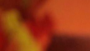 Havelange está implicado en el megaescándalo de corrupción al interior de la FIFA.