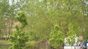 Más de 17 mil personas acudieron a la fiesta patriótica el año pasado.