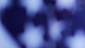 Grupos que luchan a favor de los derechos de los inmigrantes llevan años pidiendo una reforma migratoria.